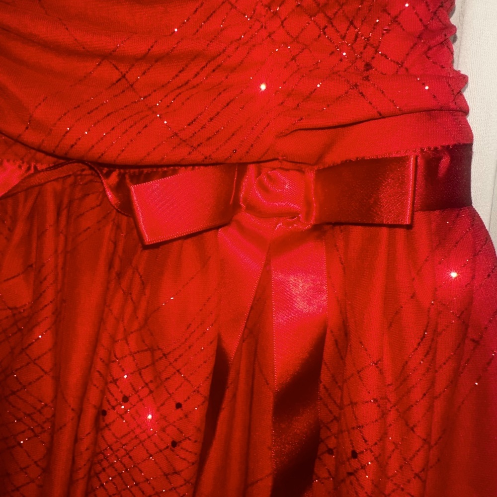 IZ Byer fancy dress little girl size 8